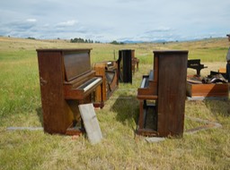 Pianos in Howie's Field